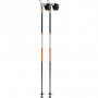 SWIX CT3 Nordic Walking